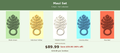 Maui Set — All 5 Colorways